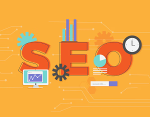 SEO Company in Delhi